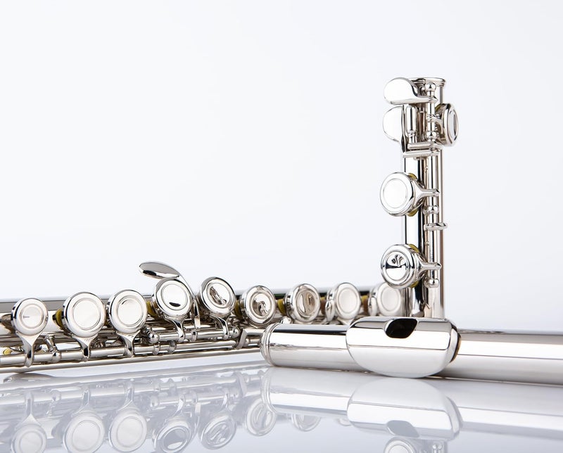 Rhythm C Flutes with Engraved Flower Closed Hole 16 Keys Flute For Student, Beginner with Stand, Carrying Case, Cleaning Kit, Gloves, Tuning Rod (Ni-Silver Color) - Image 2